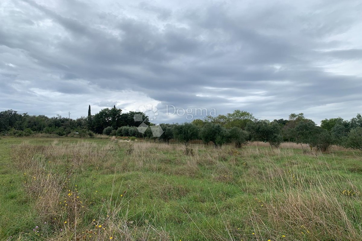 Terreno Štinjan, Pula, 755m2