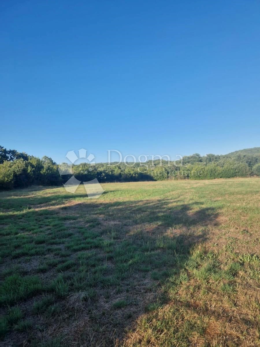 BELLISSIMO TERRENO AGRICOLO IDEALE PER UN OLIVETO