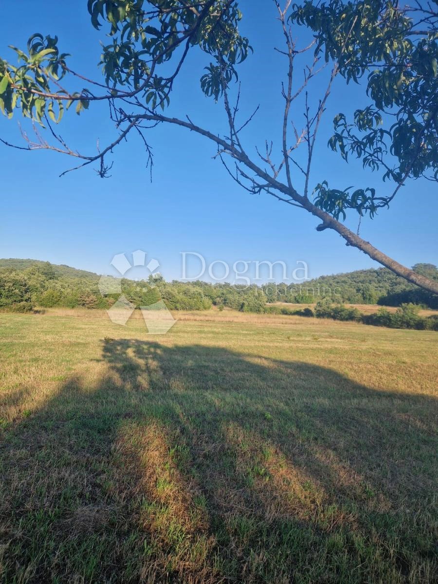 BELLISSIMO TERRENO AGRICOLO IDEALE PER UN OLIVETO