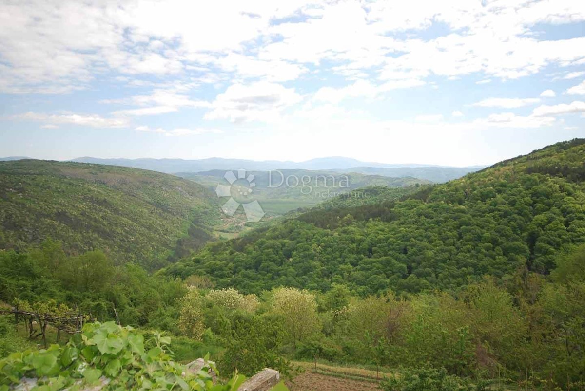CASA IN PIETRA, OPRTALJ, VISTA, PACE E TRANQUILLITÀ