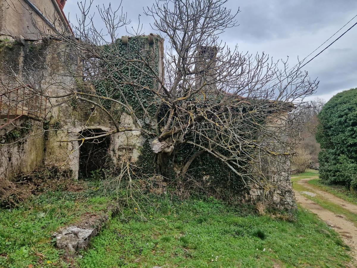 Casa Pićan, 270m2