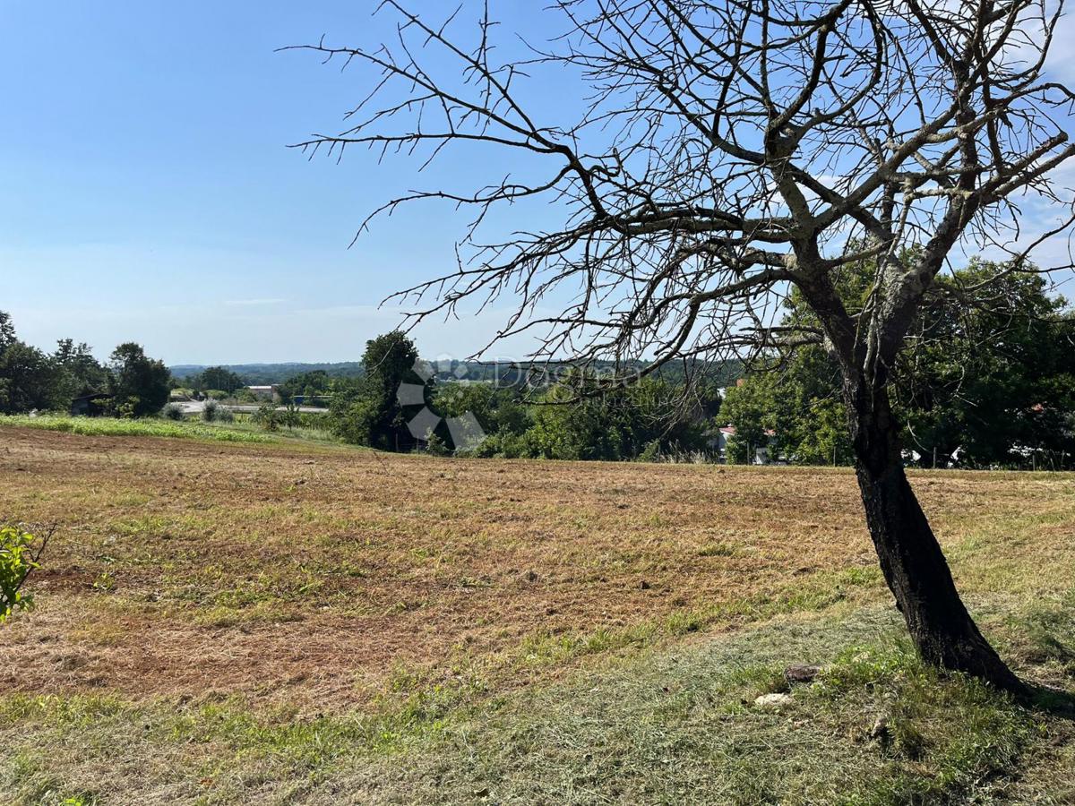 TERRENO IDEALE PER UNA VILLETTA BIFAMILIARE IN PARTE ELEVATA