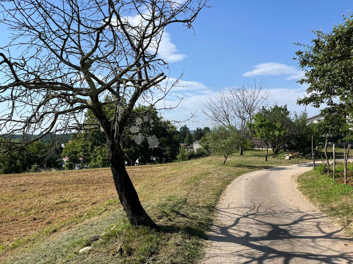 TERRENO IDEALE PER UNA VILLETTA BIFAMILIARE IN PARTE ELEVATA