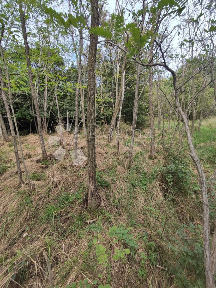 Terreno Grižane-Belgrad, Vinodolska Općina, 777m2