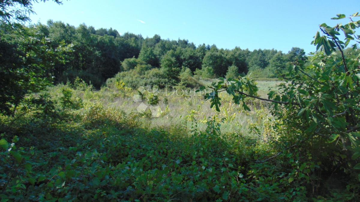 Terreno Roč, Buzet, 6.440m2