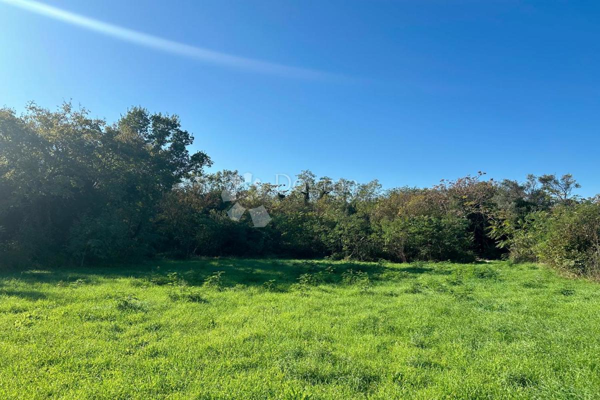 Terreno Rovinj, 1.375m2