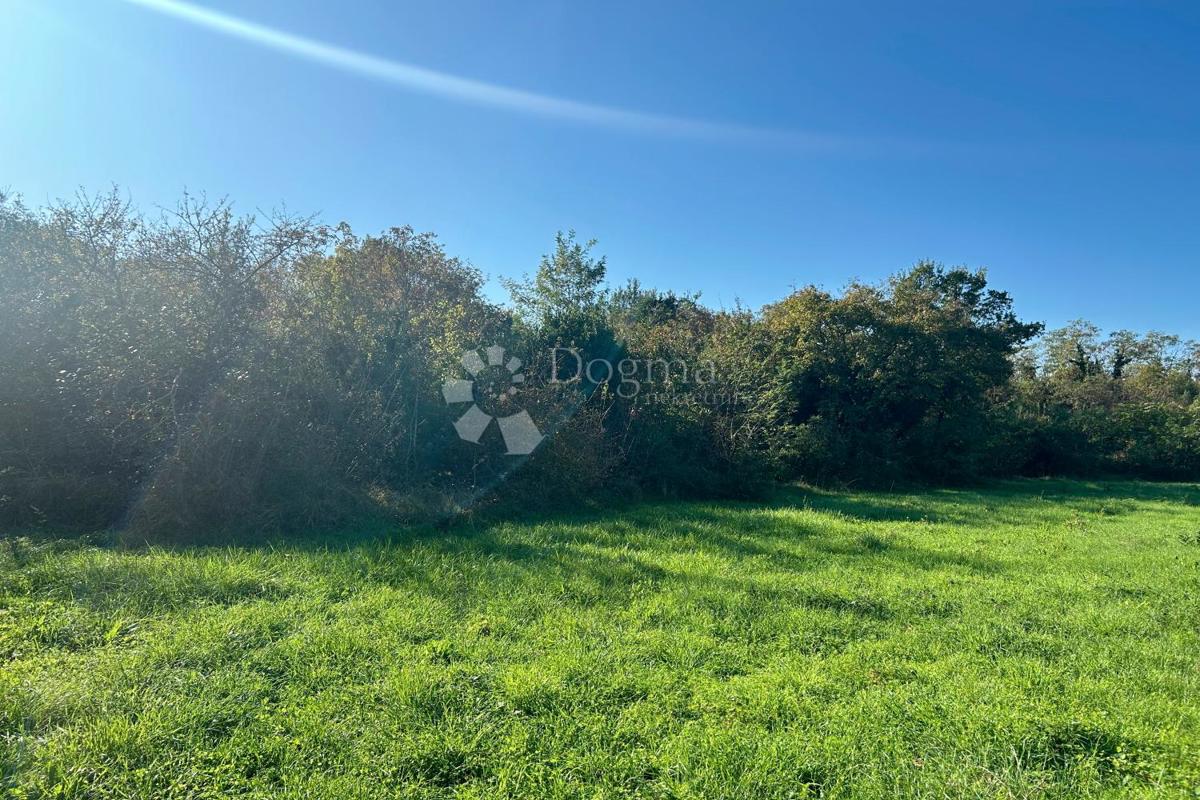 Terreno Rovinj, 1.375m2