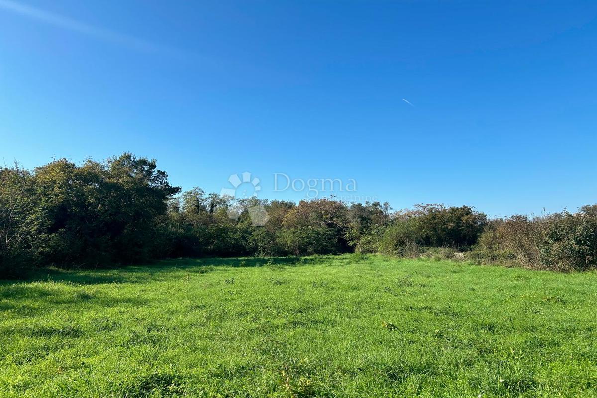 Terreno Rovinj, 1.375m2