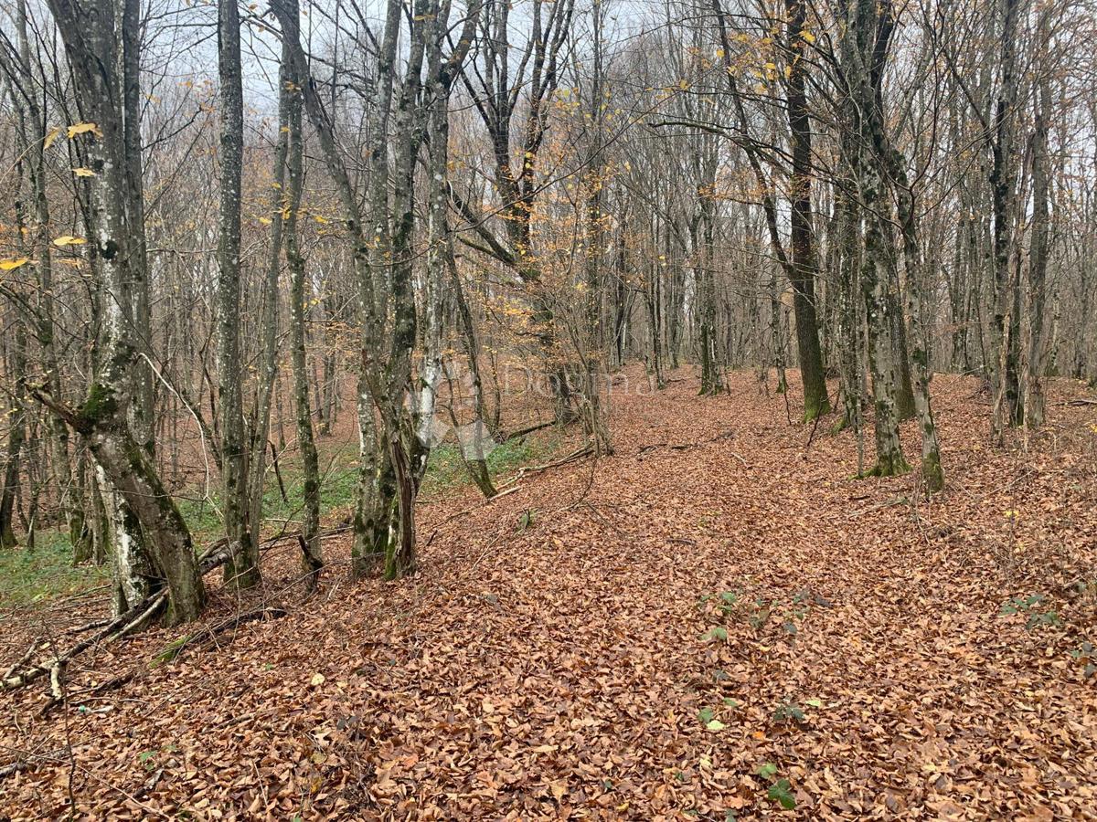 Casa Blatuša, Gvozd, 100m2