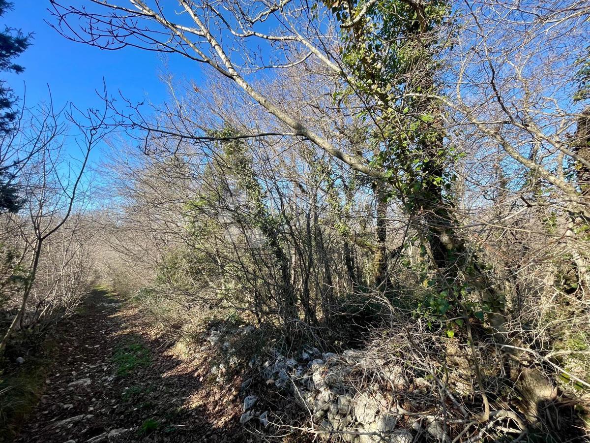 Terreno attraente in una posizione frequente