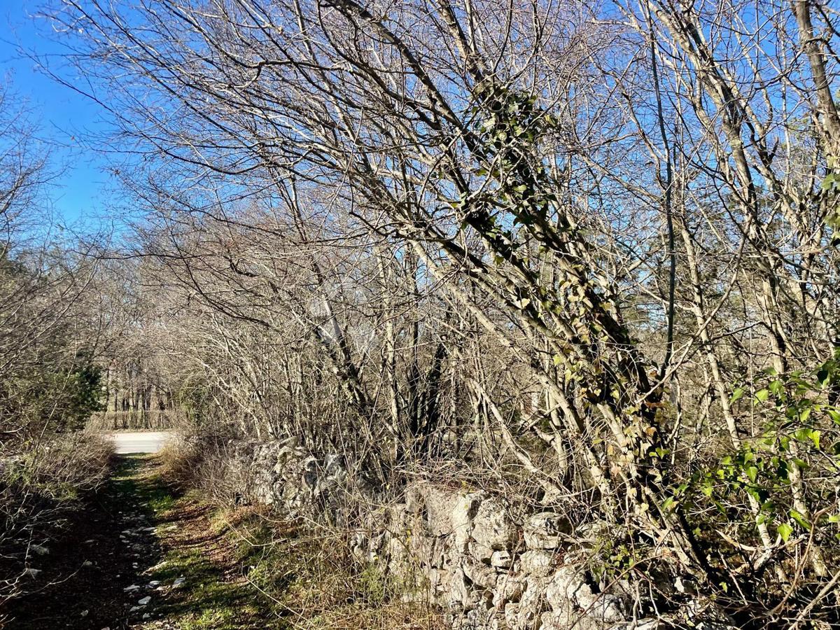 Terreno attraente in una posizione frequente