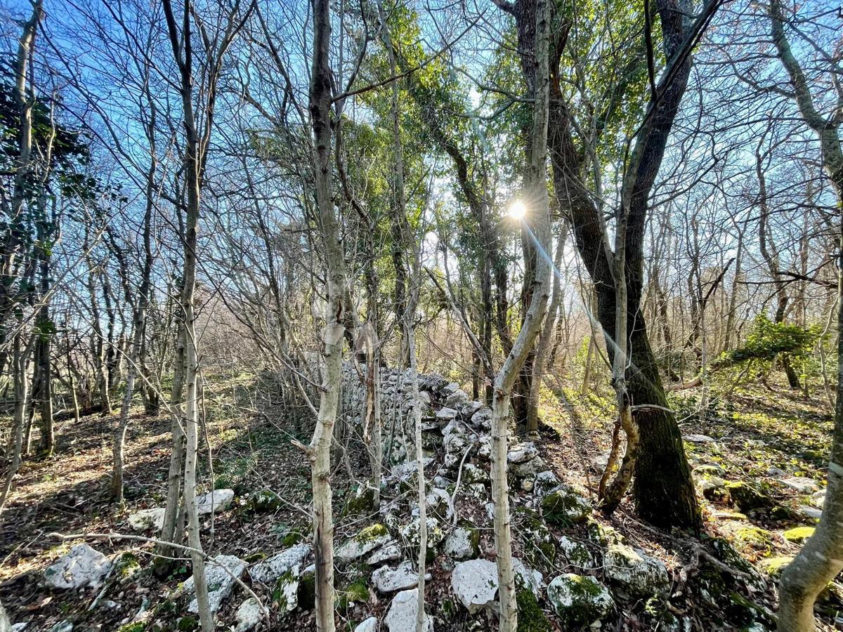 Terreno attraente in una posizione frequente