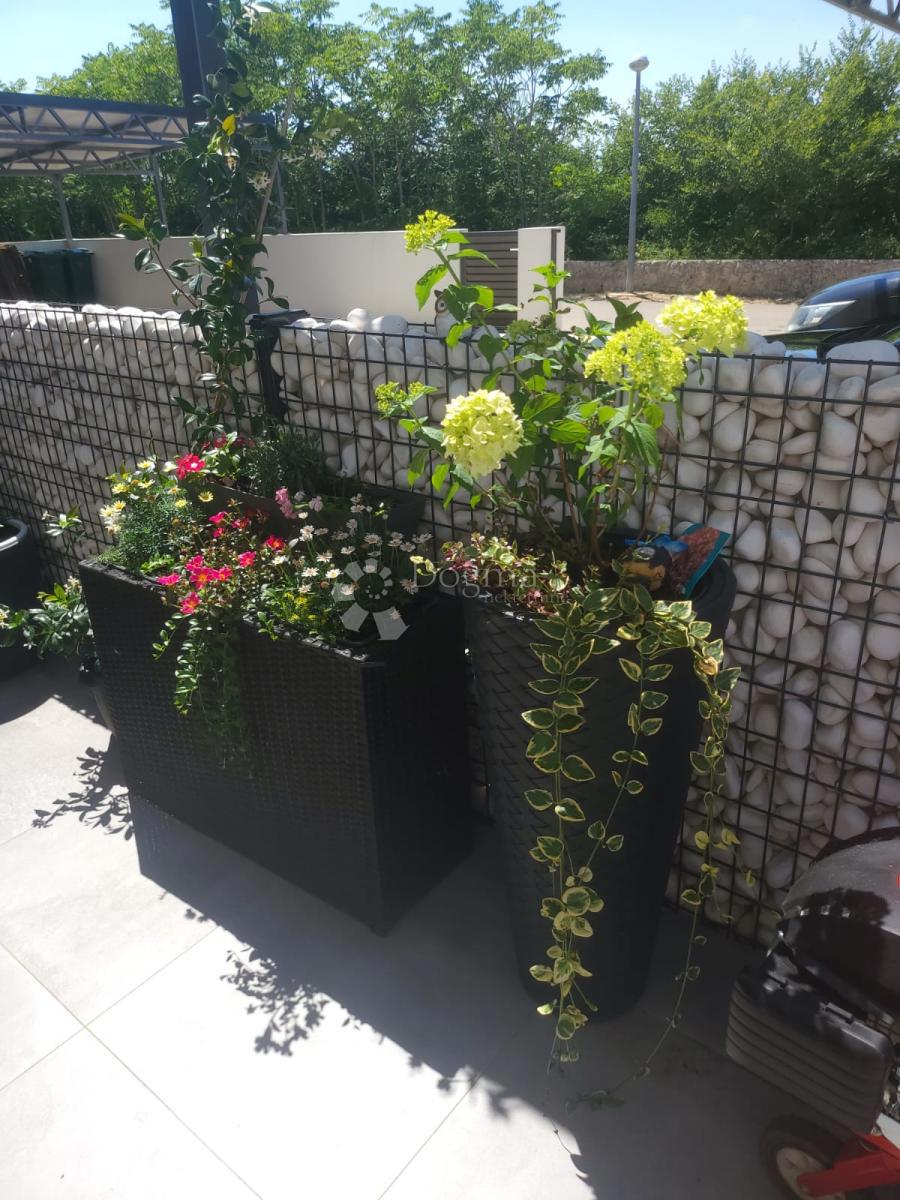 Allogio Zaton, Nin, 75m2