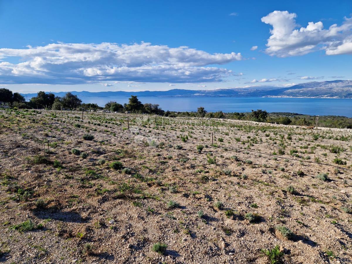 Terreno agricolo Donji Humac, Nerežišća, 10.600m2