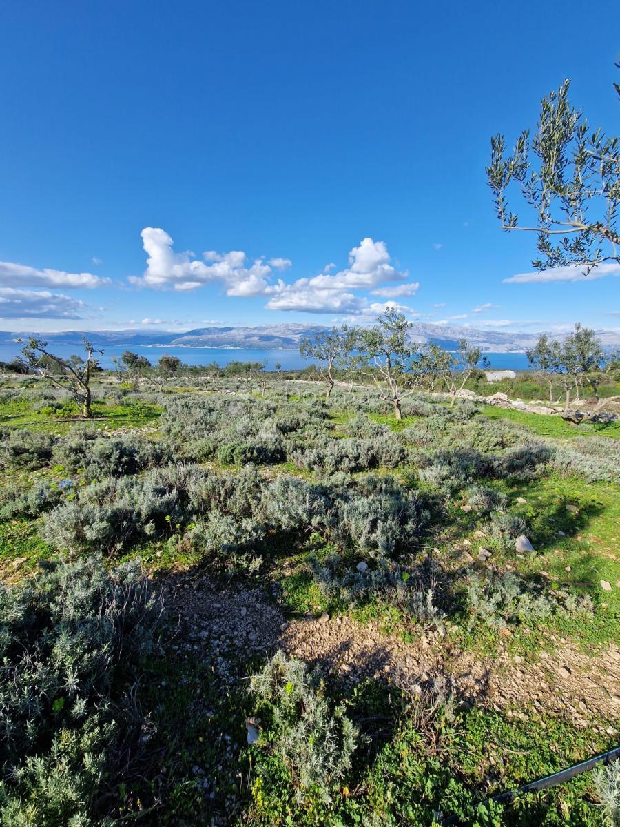 Terreno agricolo Donji Humac, Nerežišća, 10.600m2