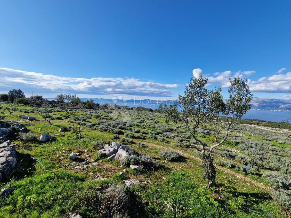 Terreno agricolo Donji Humac, Nerežišća, 10.600m2