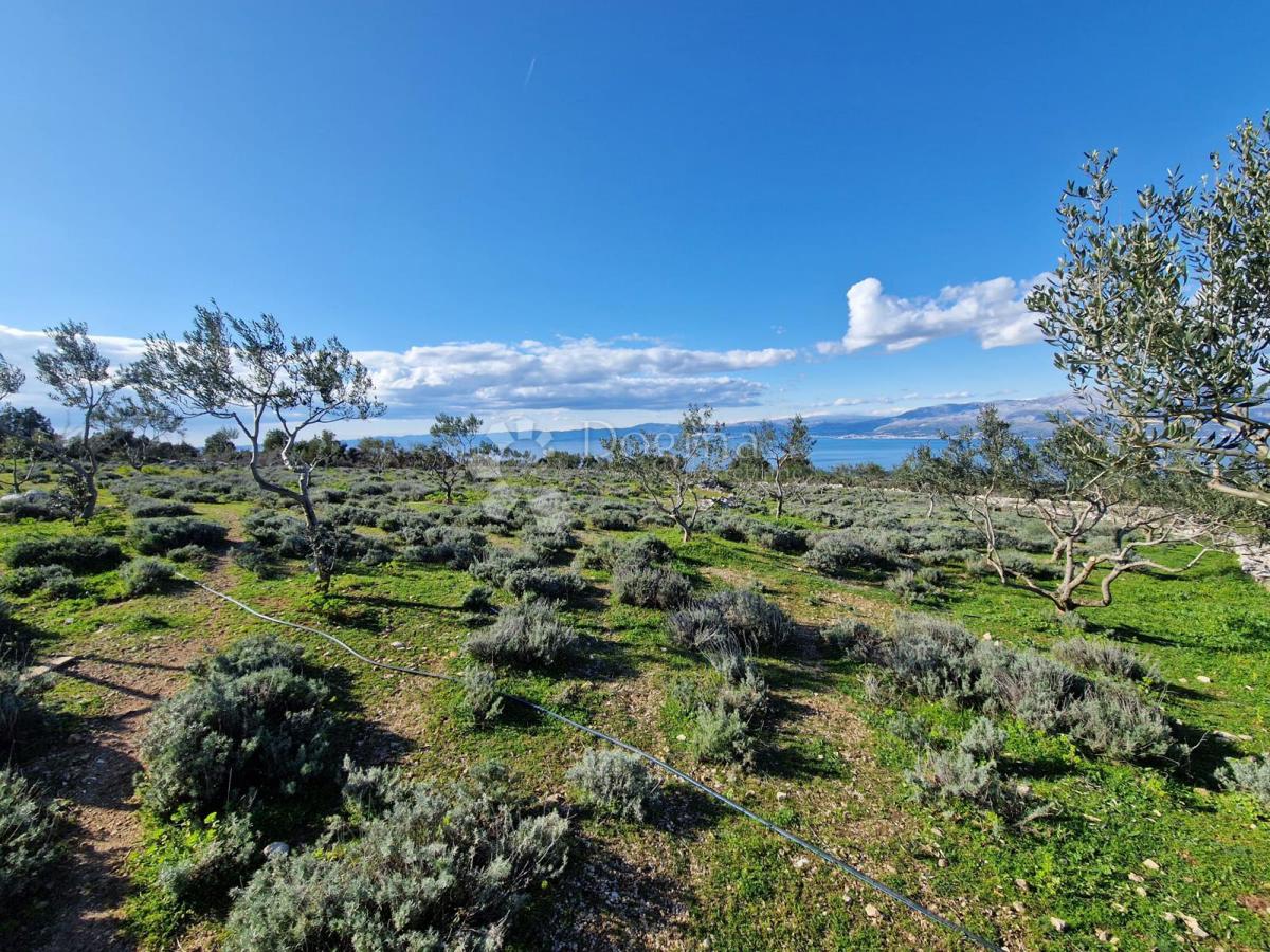 Terreno agricolo Donji Humac, Nerežišća, 10.600m2
