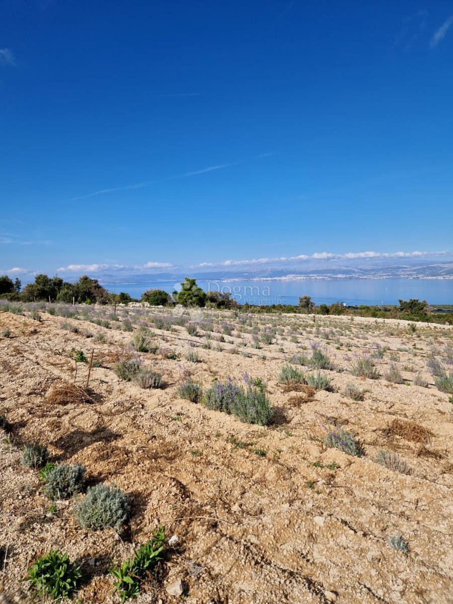 Terreno agricolo Donji Humac, Nerežišća, 10.600m2