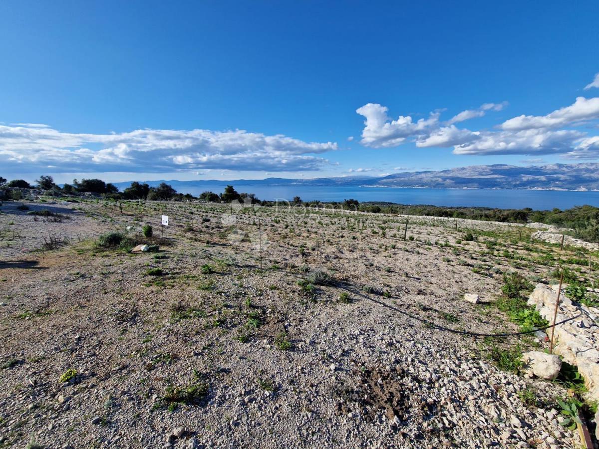 Terreno agricolo Donji Humac, Nerežišća, 10.600m2