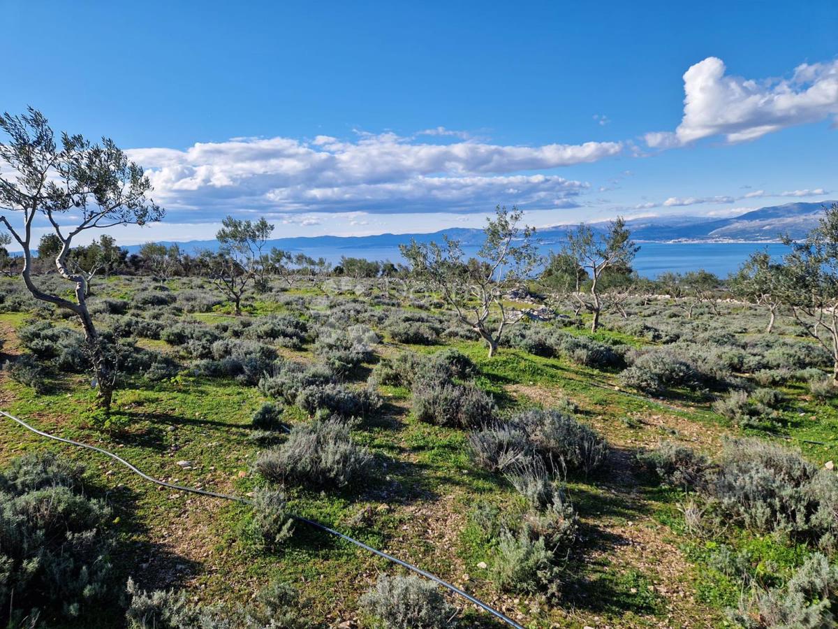 Terreno agricolo Donji Humac, Nerežišća, 10.600m2