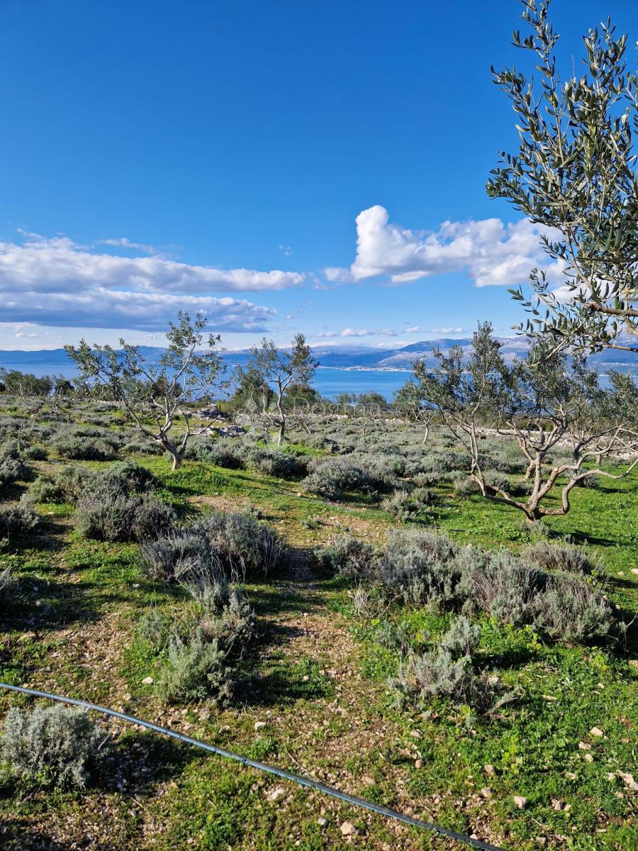 Terreno agricolo Donji Humac, Nerežišća, 10.600m2