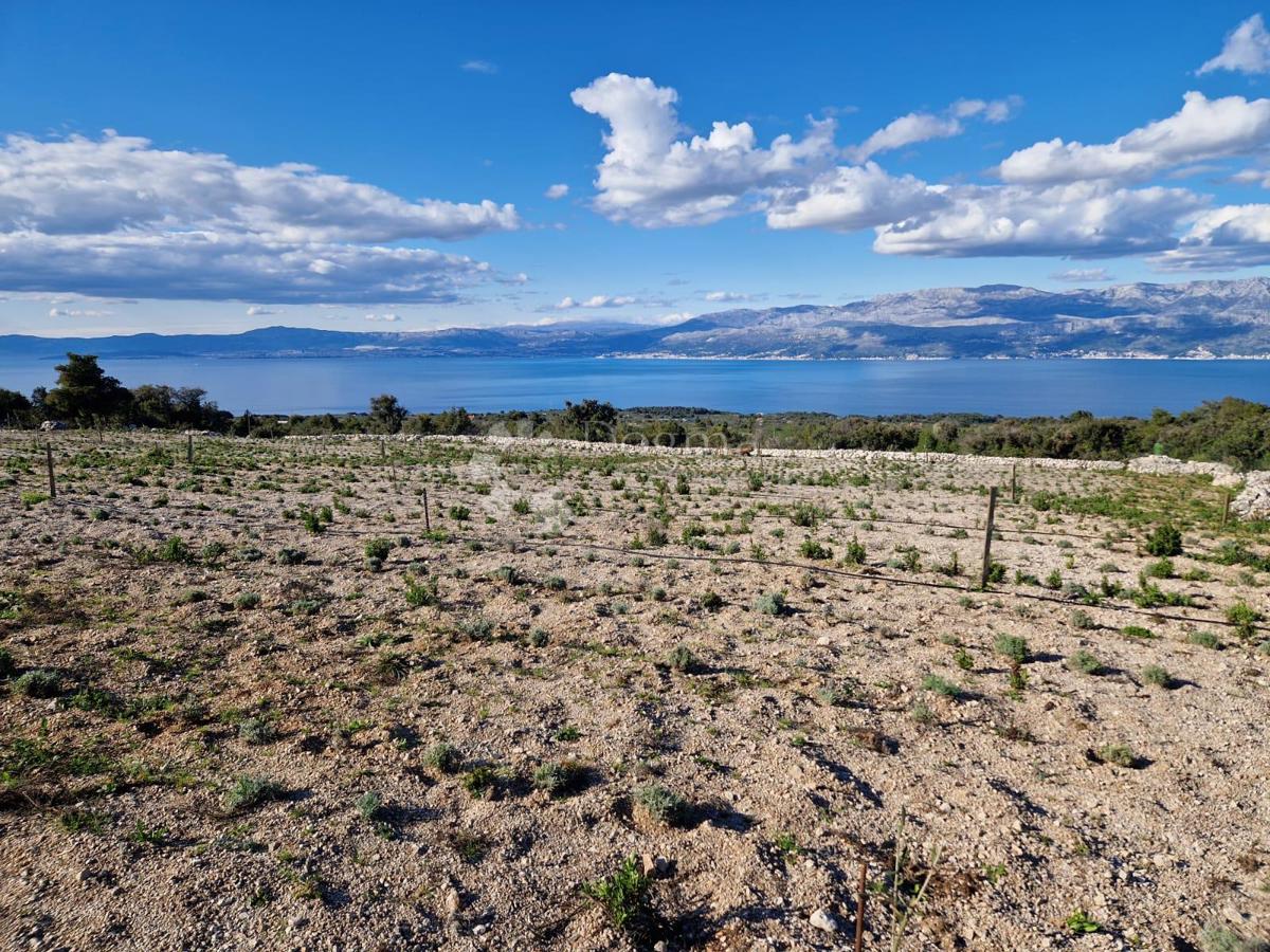 Terreno agricolo Donji Humac, Nerežišća, 10.600m2