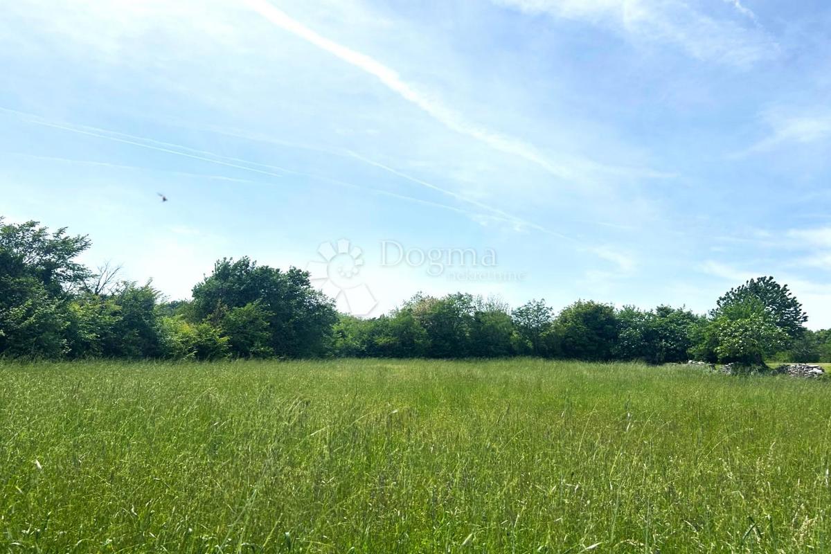Terreno Orihi, Barban, 3.020m2
