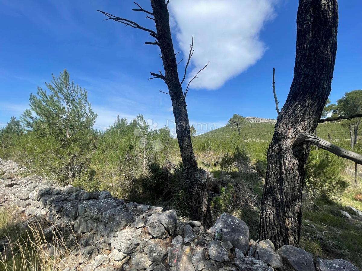 Terreno edificabile Dubrava Kod Šibenika, Šibenik - Okolica, 3.928m2