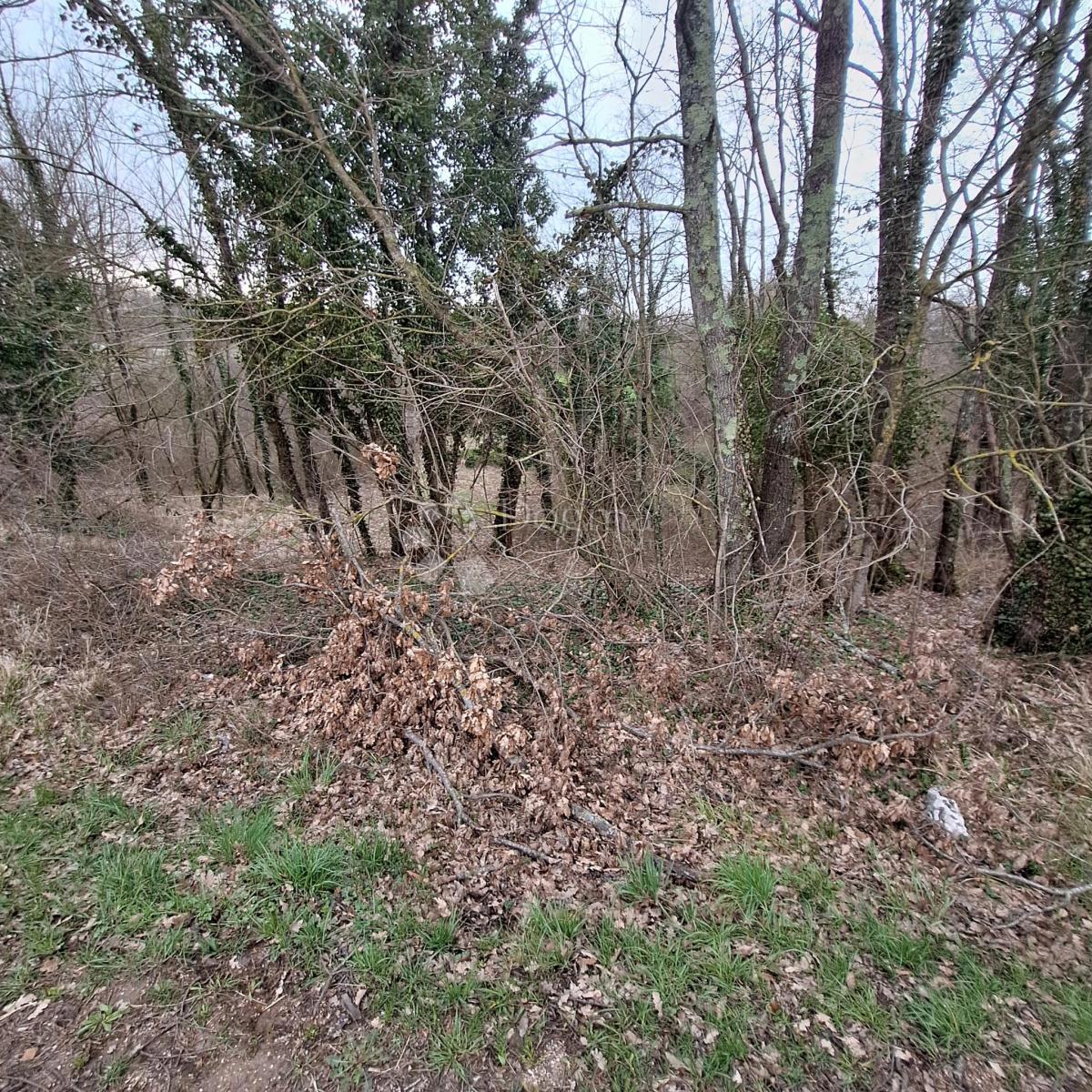 Terreno edificabile Laginji, Žminj, 914m2