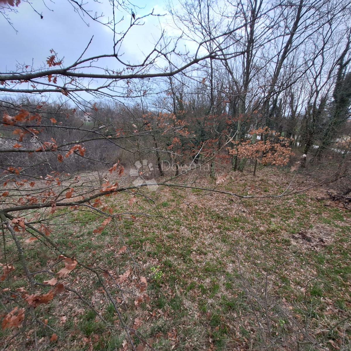 Terreno edificabile Laginji, Žminj, 914m2