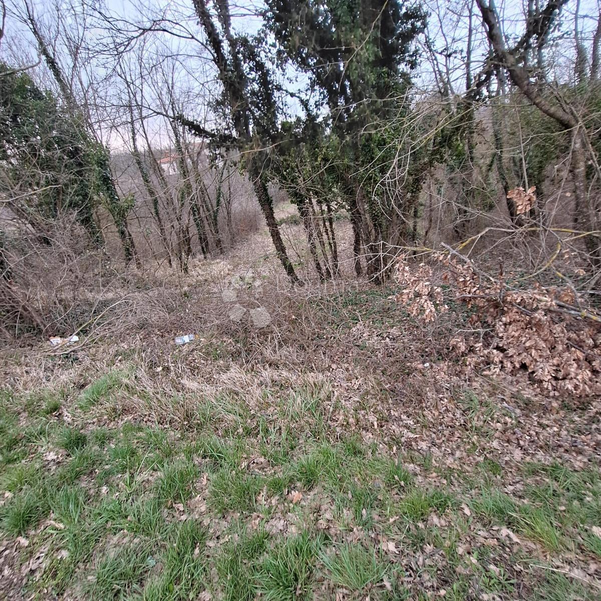 Terreno edificabile Laginji, Žminj, 914m2