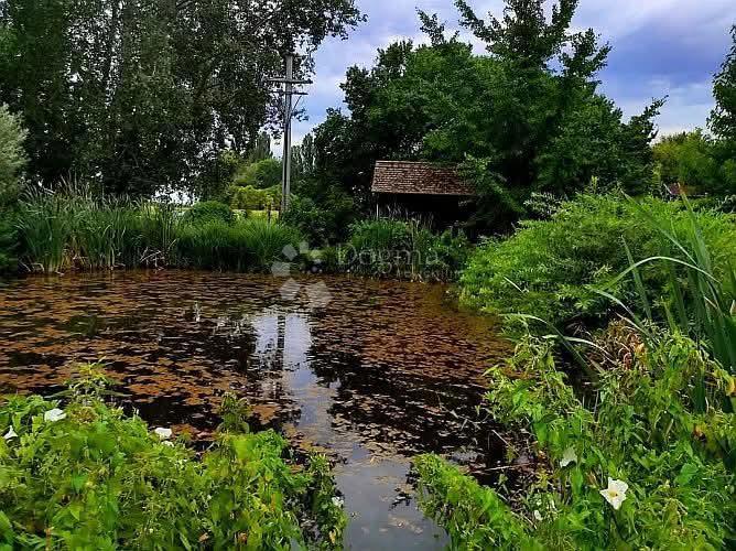 Casa Suza, Kneževi Vinogradi, 214m2