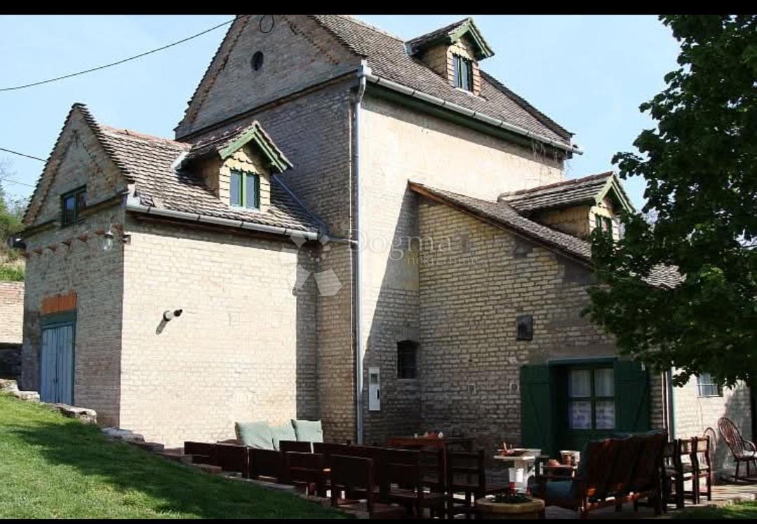 Casa Suza, Kneževi Vinogradi, 214m2