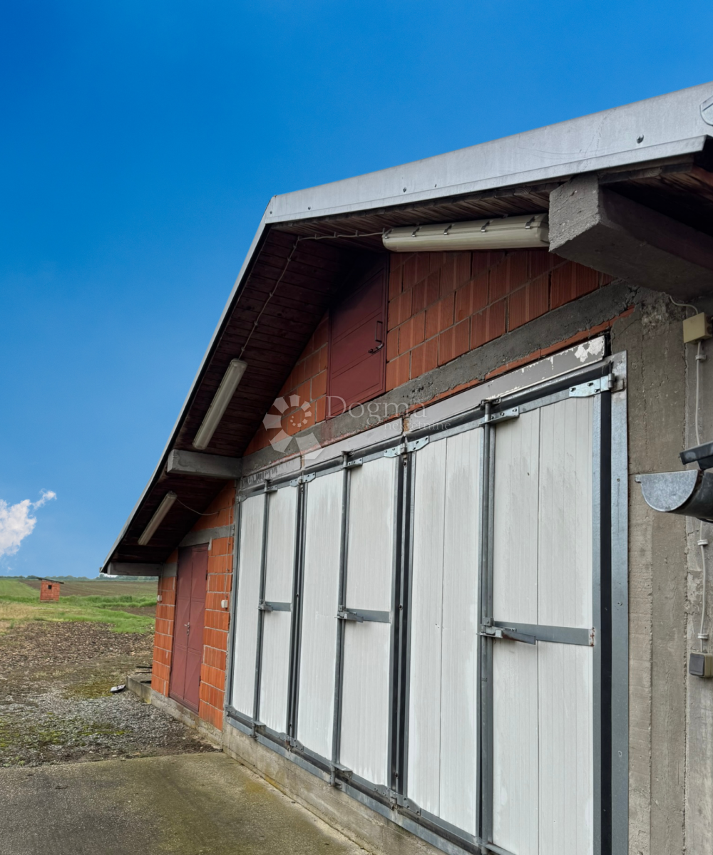 Casa Suhopolje, 530m2