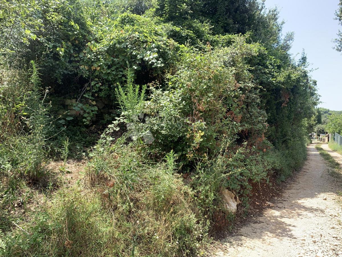 Terreno Rovinj, 13.208m2