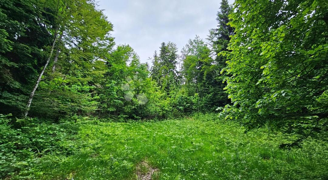 Casa Jablan, Vrbovsko, 55m2