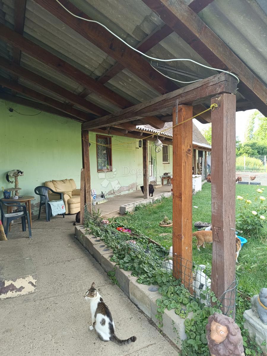 Casa Brođanci, Bizovac, 5.279m2