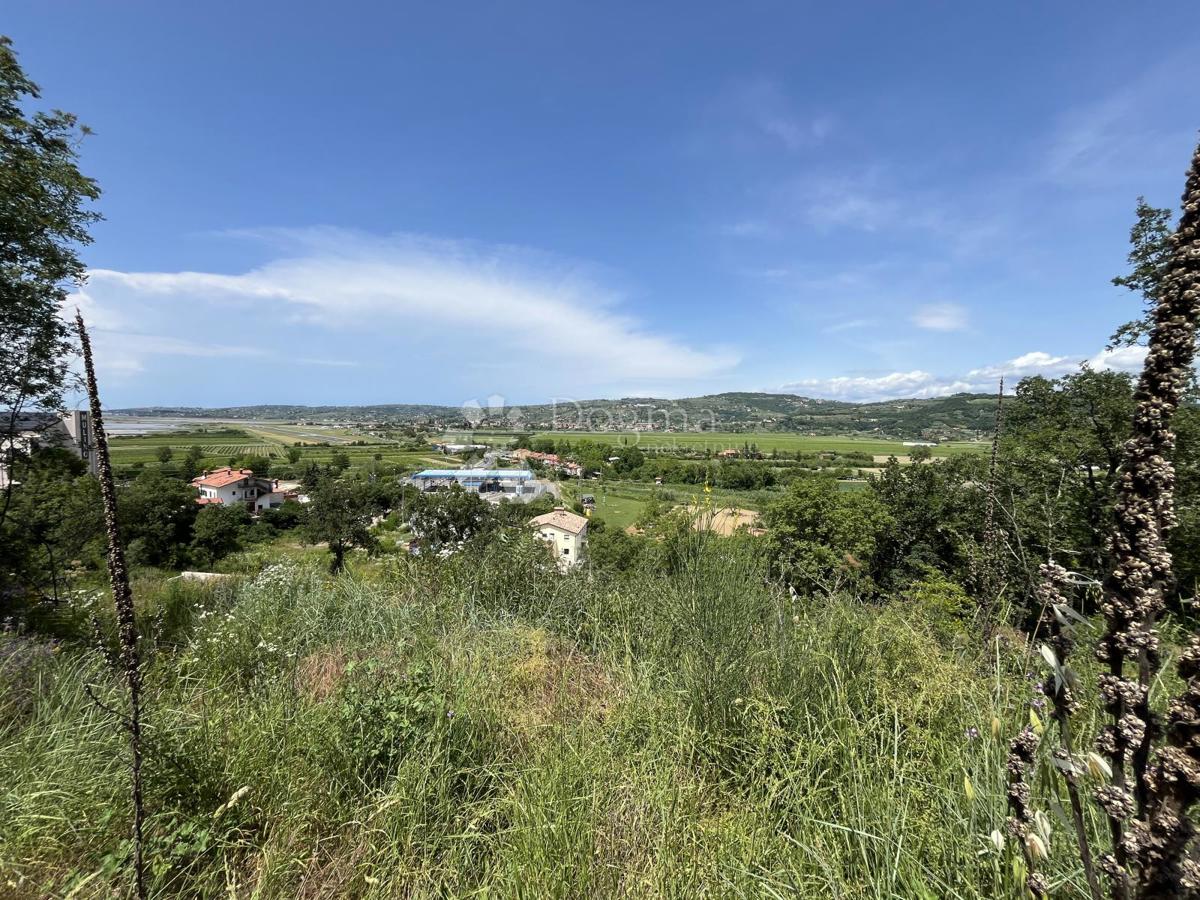 Terreno edificabile Buje, Buje, Buje, Istarska županija, 2.074m2