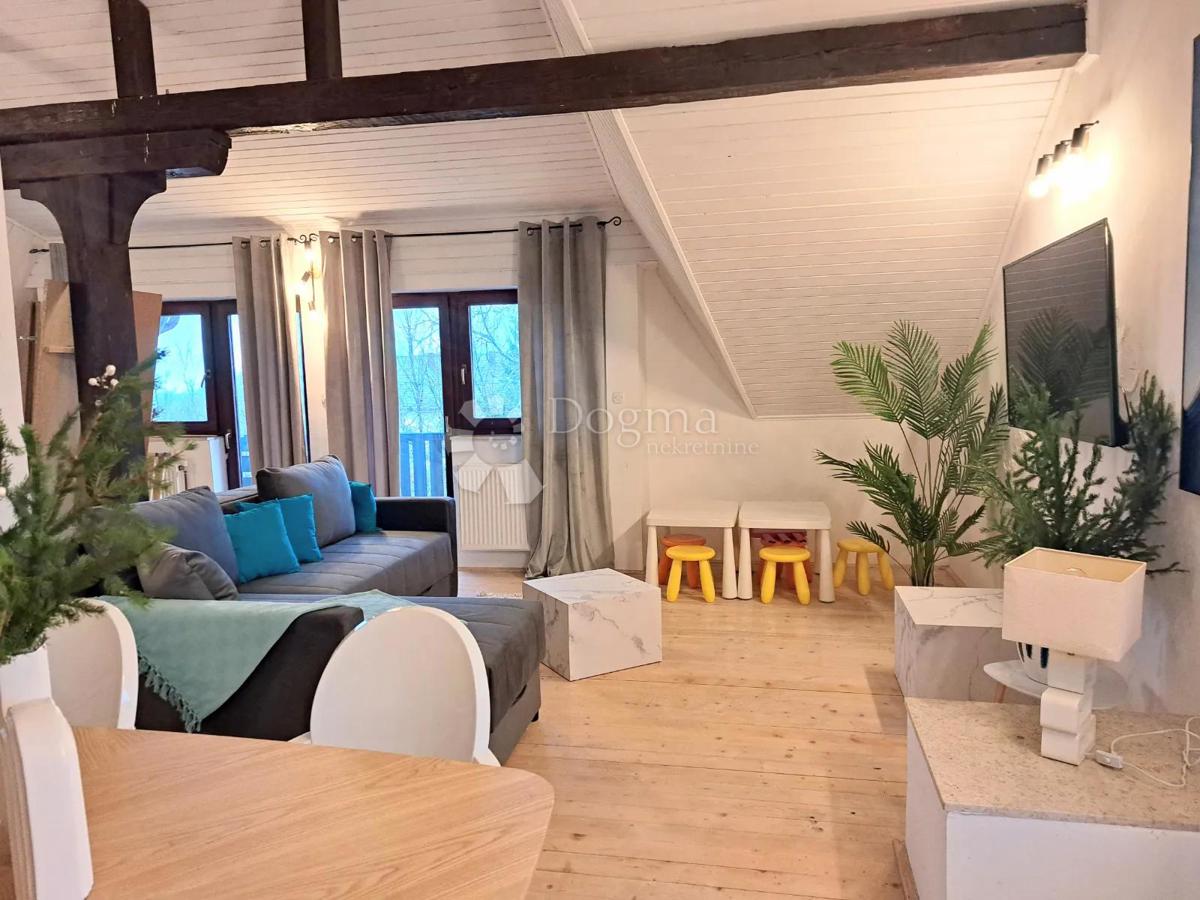 Casa Drežnik Grad, Rakovica, 385m2