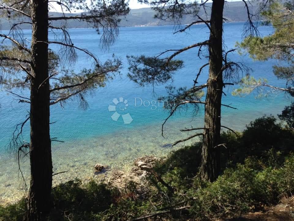 Terreno agricolo Cres, 6.280m2