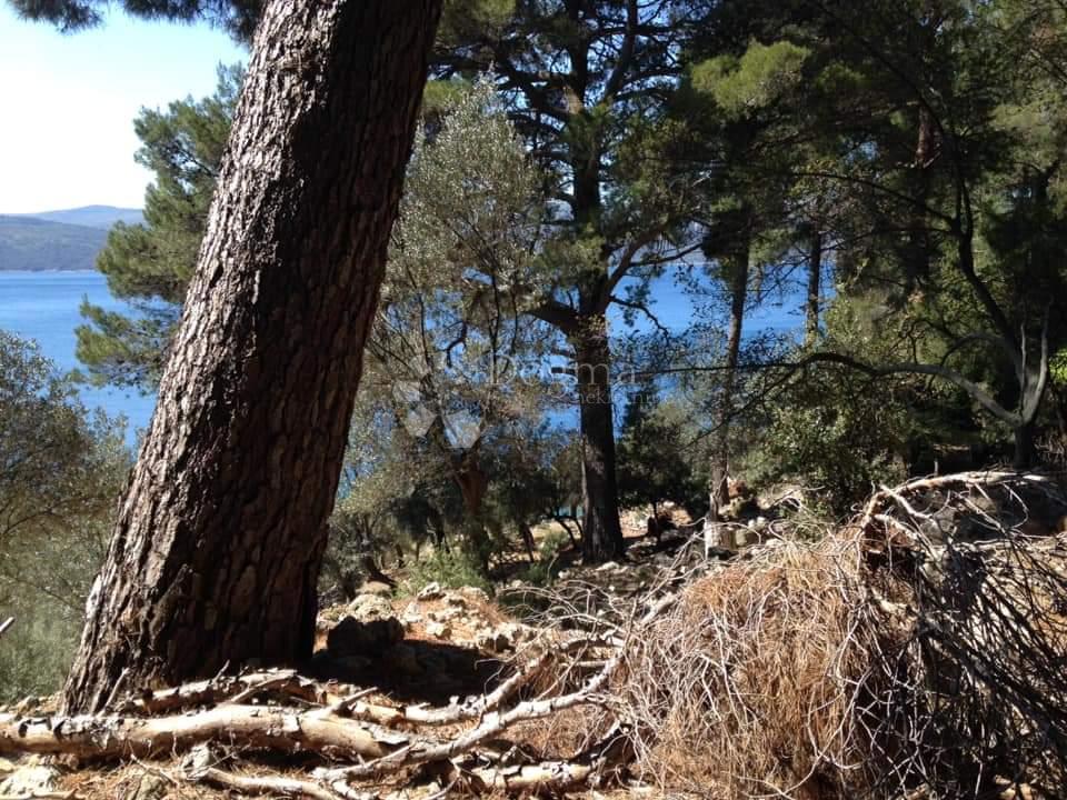 Terreno agricolo Cres, 6.280m2