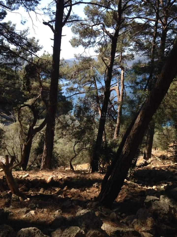 Terreno agricolo Cres, 6.280m2