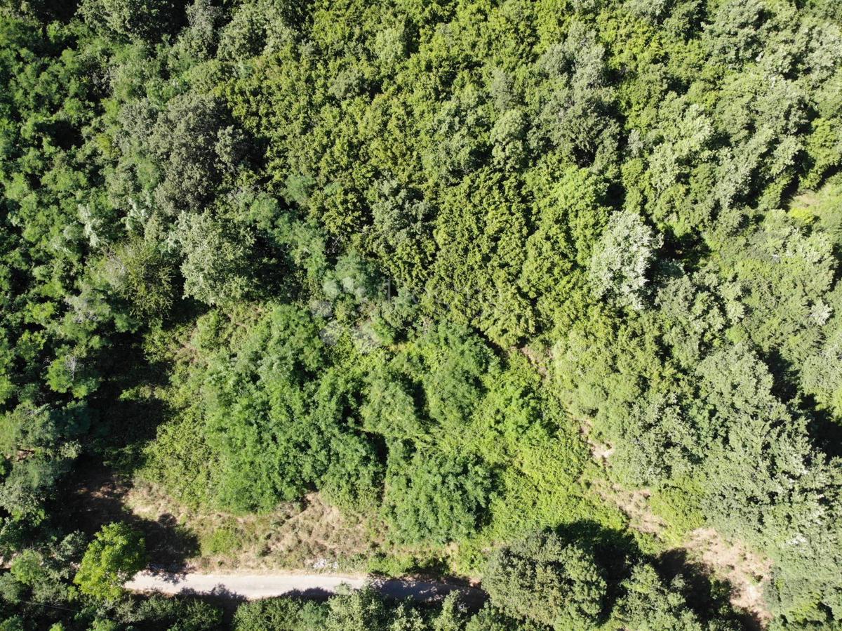 Terreno edificabile Poreč, 1.033m2