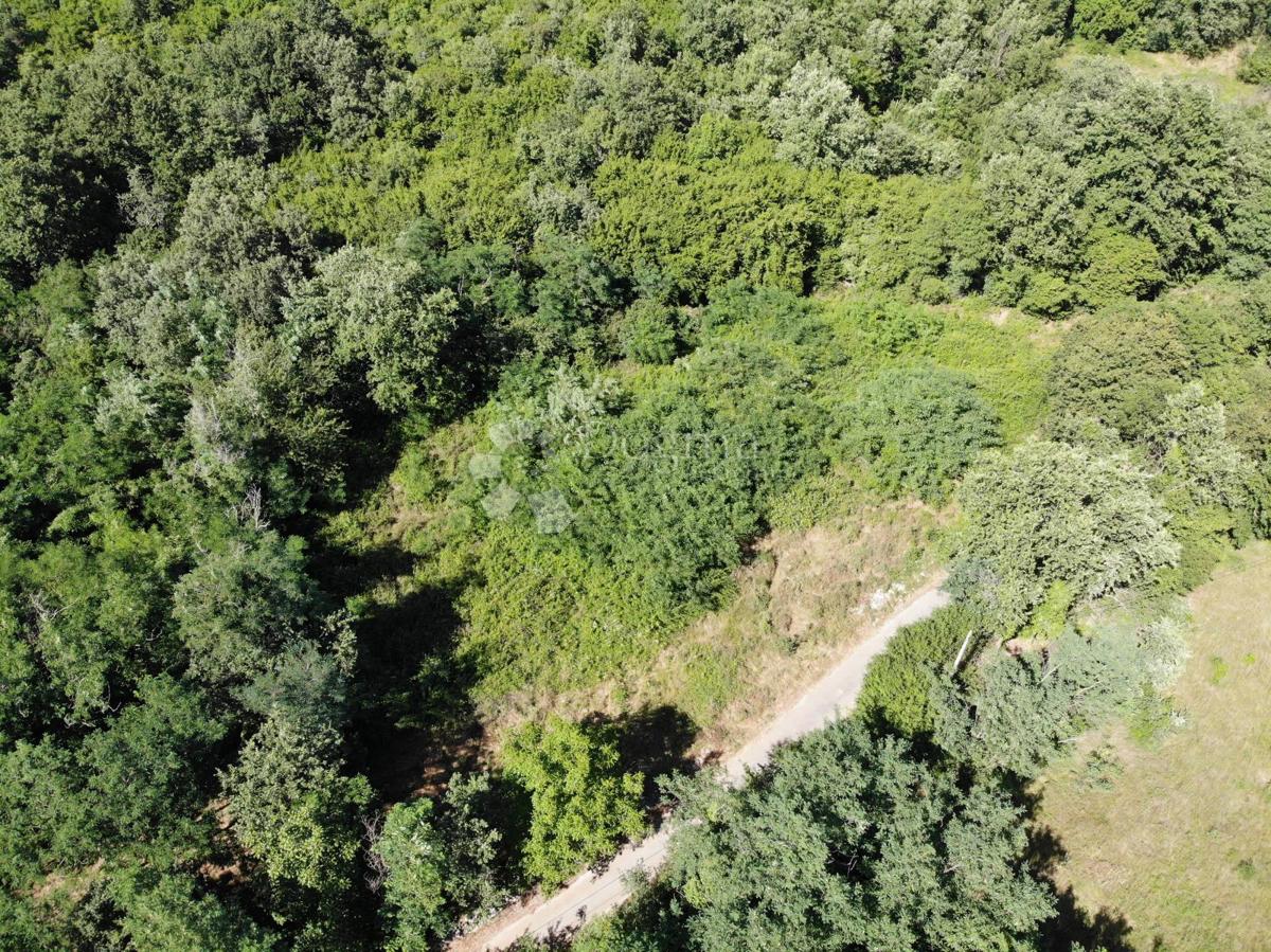 Terreno edificabile Poreč, 1.033m2