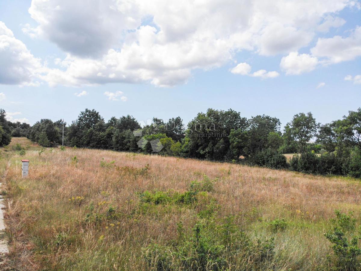 Terreno edificabile Svetvinčenat, 866m2