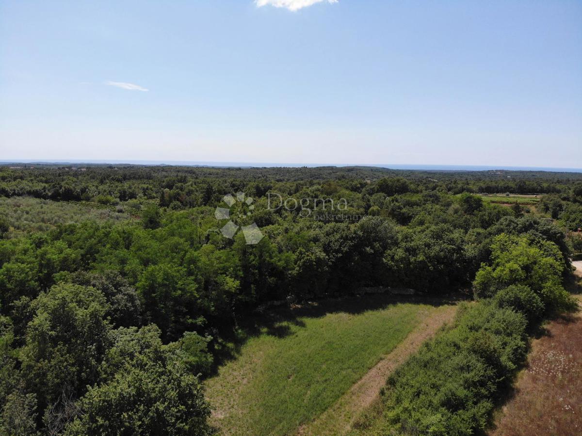 Terreno edificabile Svetvinčenat, 866m2