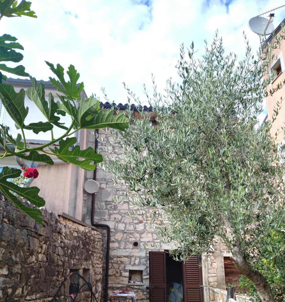 Istria, Tar, casa a schiera in pietra