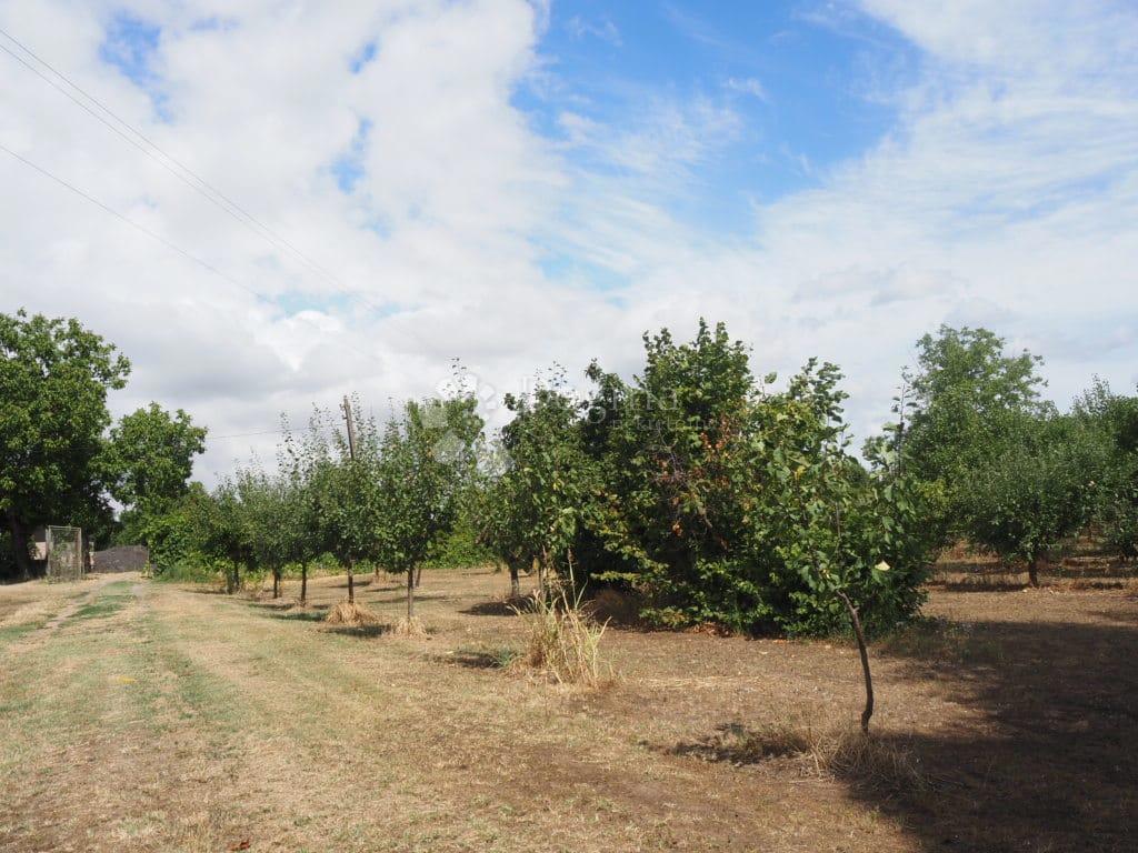 Casa Zmajevac, Kneževi Vinogradi, 67m2