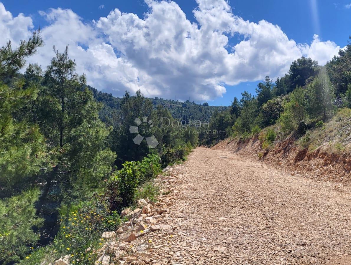 Terreno agricolo Vela Luka, 3.122m2