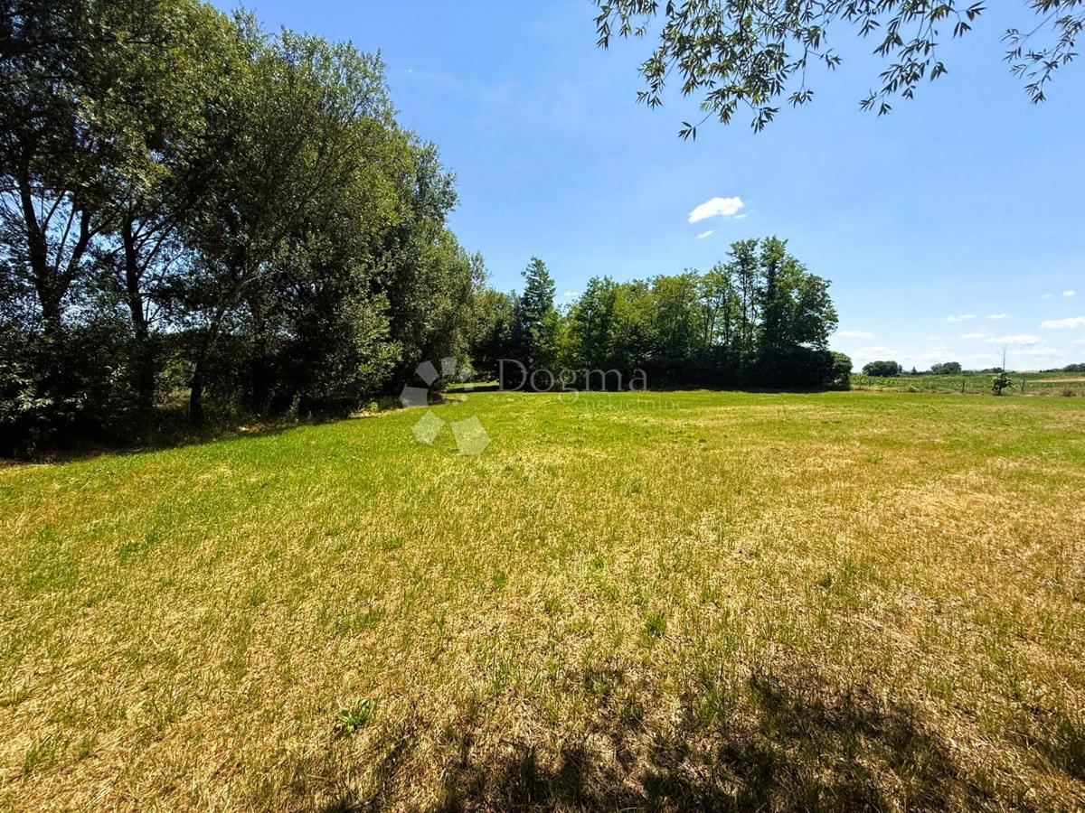 Terreno edificabile Petrijanec, 44.888m2